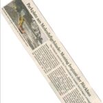 Gartenlandschaftsbau Außenanlagen (15)